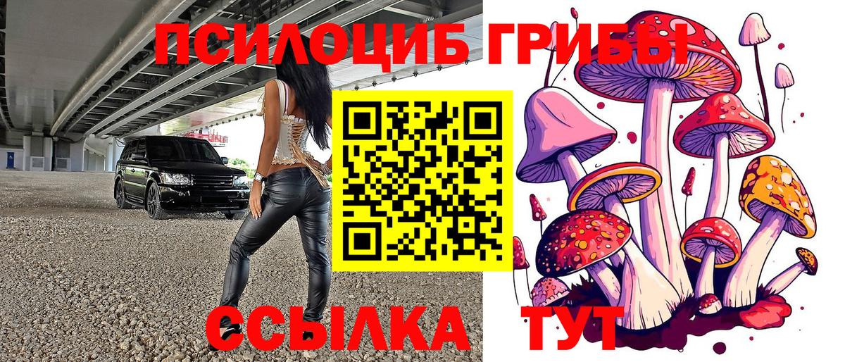 Псилоцибиновые грибы ЛСД Касимов