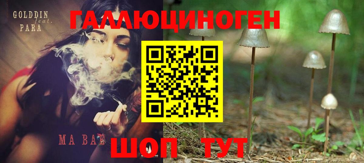 Псилоцибиновые грибы Magic Shrooms  купить  цена  Вход с VPN  Касимов  Псилоцибиновые грибы мицелий 